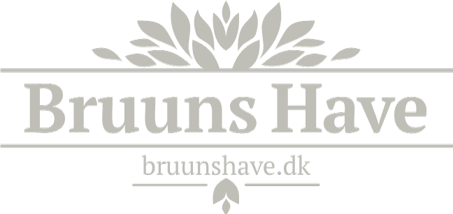 Bruuns Have